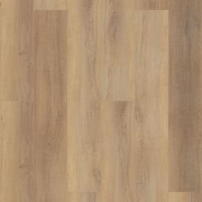 Canterbury Elm Swatch