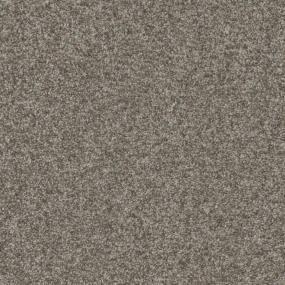 Chestnut Frost Zoomed Swatch