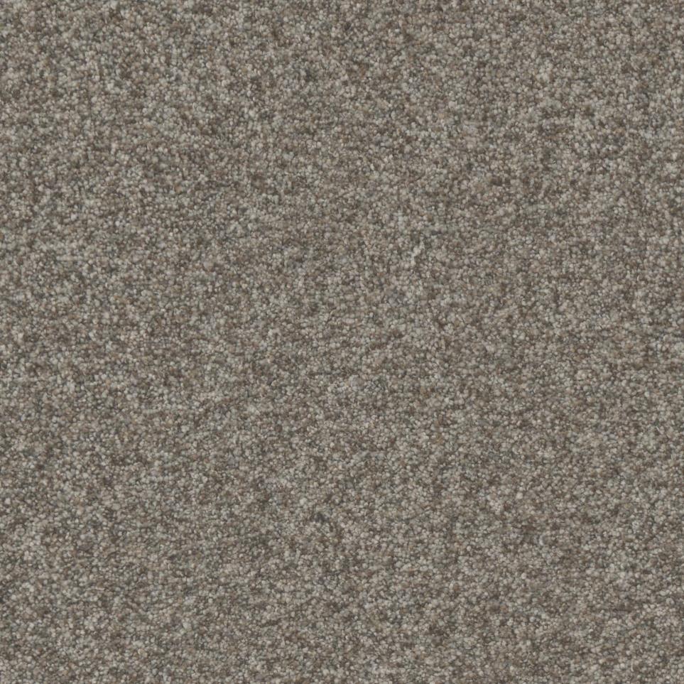 Chestnut Frost Zoomed Swatch