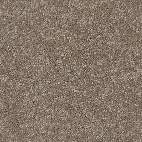 Amethyst Grove I - Malt Swatch