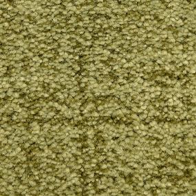 Mystique - Bermuda Grass Swatch