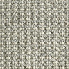 Silver Zoomed Swatch