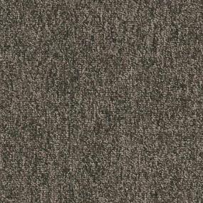 Company Zoomed Swatch