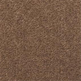 St. Croix - Barnacle Swatch