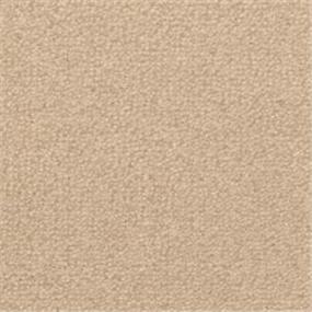 St. Croix - Clam Bake Swatch