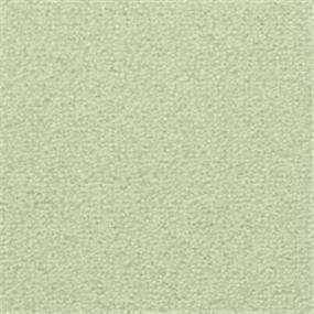 St. Croix - Fern Mist Swatch