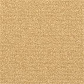St. Croix - Sandbar Swatch