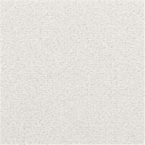 St. Croix - Shark Skin Swatch