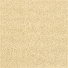 St. Croix - Starfish Swatch
