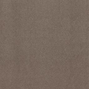 Acorn Swatch Thumbnail