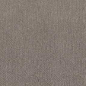 Modern Zen - Turnstone Swatch