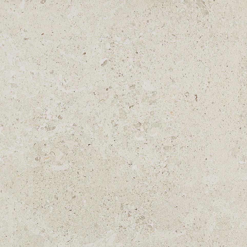 Luminary White Matte Zoomed Swatch