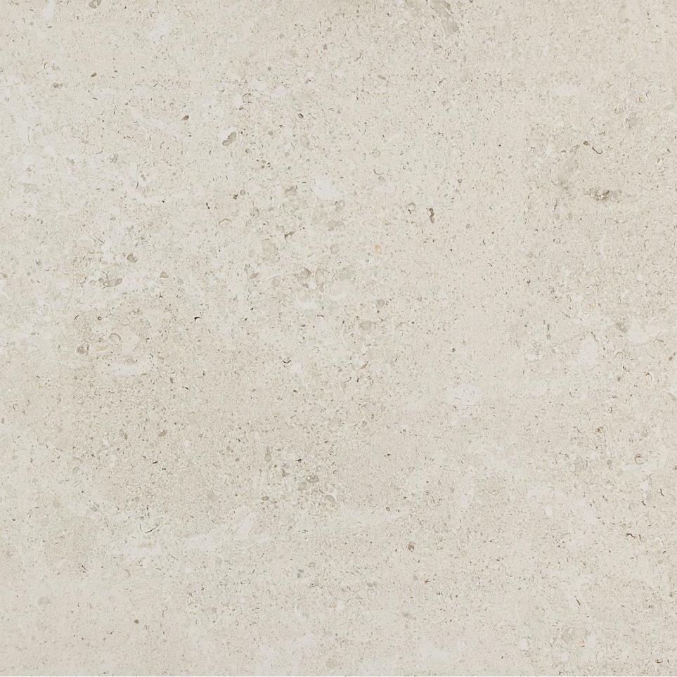 Dignitary Square 24X24 Mt by Daltile - Luminary White Matte
