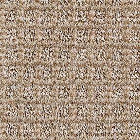 Ancient Oak Swatch Thumbnail