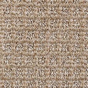 Ancient Oak Zoomed Swatch