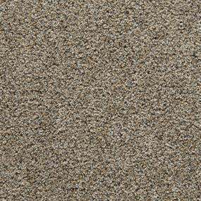 Wind Sculpted I 12' - Weathered Wood Swatch