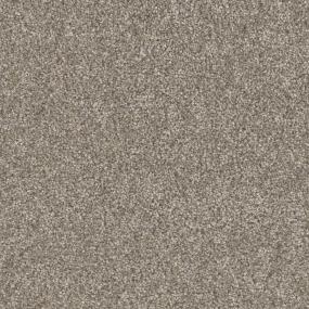 Weathered Wood Zoomed Swatch