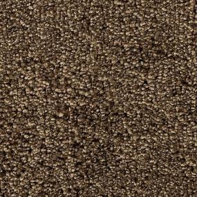 Graceful Balance - Brushwood Swatch
