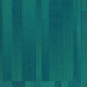 Showtime Zoomed Swatch
