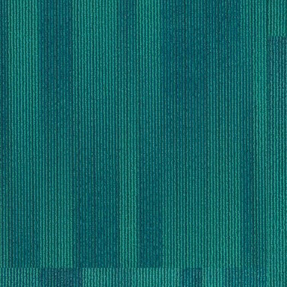 Showtime Zoomed Swatch