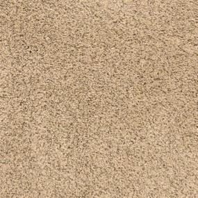 Pacific Grove - Chaparral Swatch