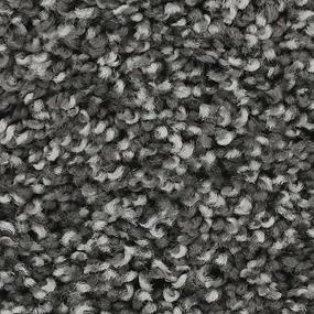 Ebony Star Swatch