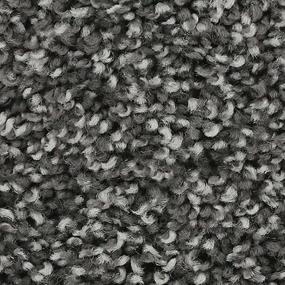 Ebony Star Zoomed Swatch