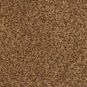 Chromatic Touch - Espresso Swatch