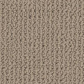 Coachman Swatch Thumbnail