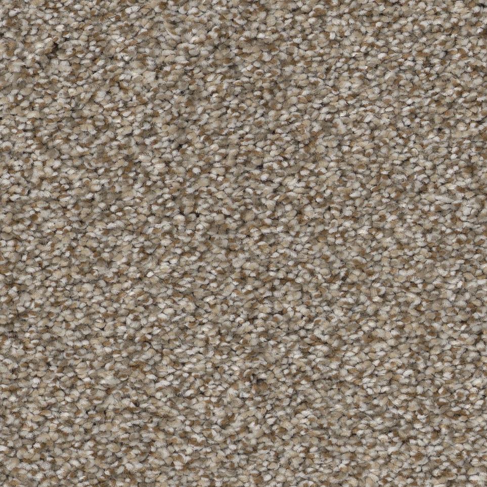 Pony Tail Zoomed Swatch