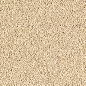Desert Star Swatch Thumbnail