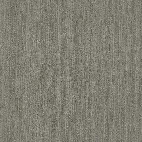 Salutations - Contemporary Swatch
