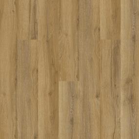 New Standard Plus - Kyoto Swatch