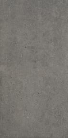 Modern Formation Rectangle 12X24 Lp - Smoky Ridge Light Polished Swatch