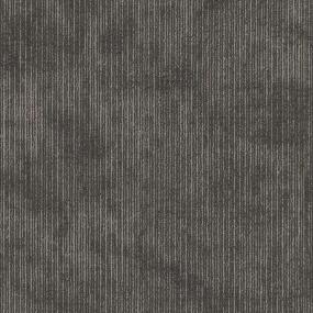 Anatomical TL - Inborn Swatch