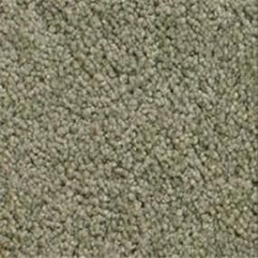 Fir Swatch Thumbnail