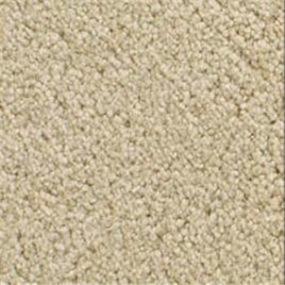 Warm Toast Swatch Thumbnail