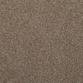 Briarwood Swatch