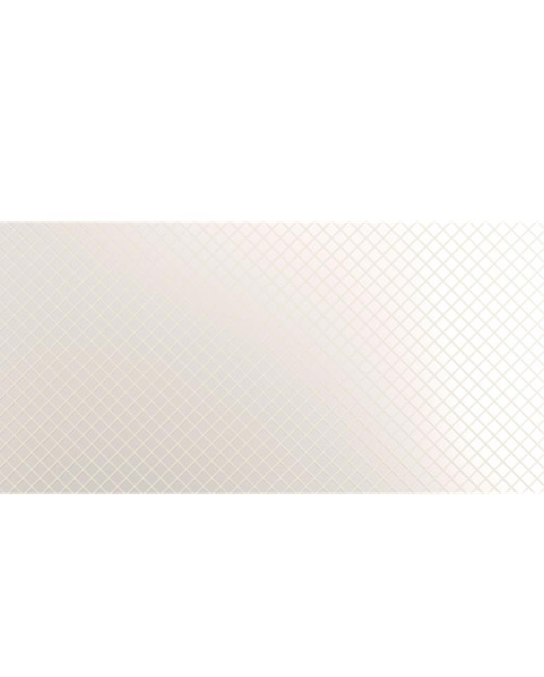 Vectora Glossy 24X47