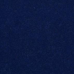 Blue Blaze Zoomed Swatch