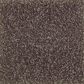 Natural Refinement II - Wrought Iron Swatch