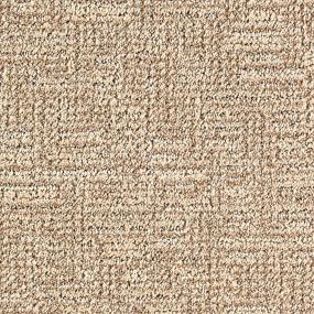 Urban Splendor - Toasted Almond Swatch