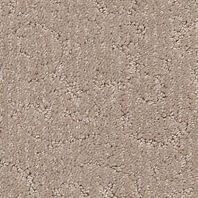 Baker Zoomed Swatch