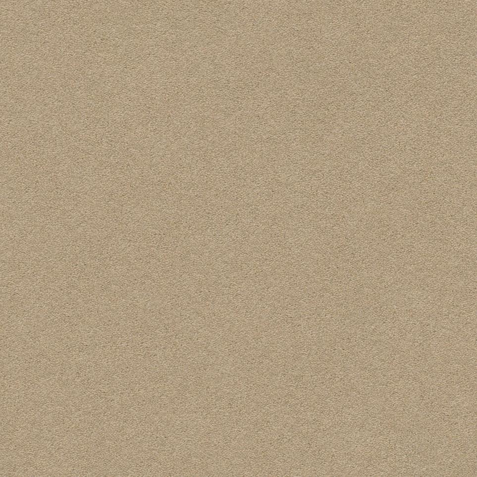 Sahara Swatch