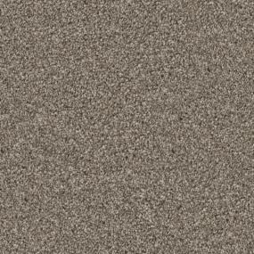 Adore - Mocha Swatch