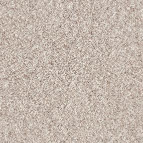 Akita - Canine Swatch