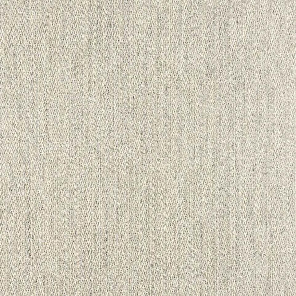 Splendor Stria