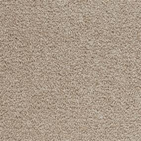 Whimbrel - Deer Valley Swatch