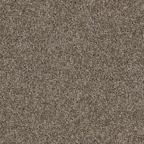 Oregon Trail Zoomed Swatch
