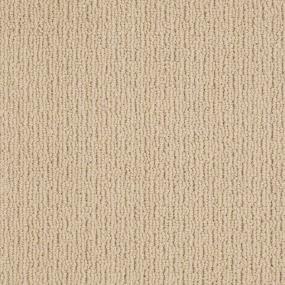 Chamois Zoomed Swatch